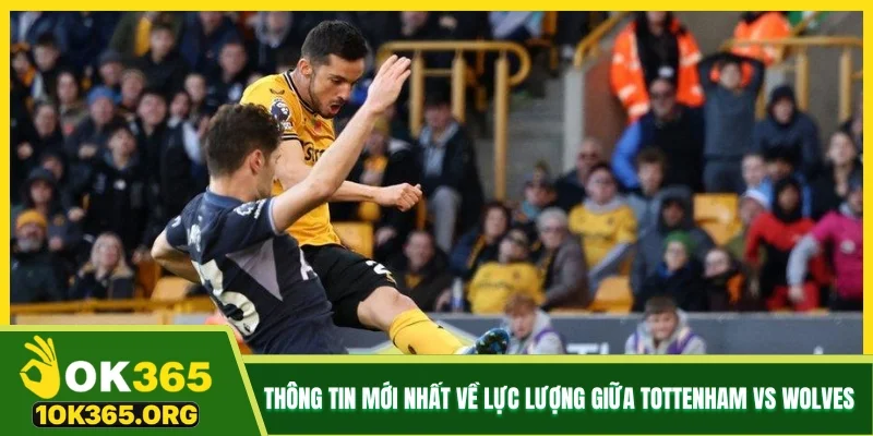Thông tin mới nhất về lực lượng giữa Tottenham vs Wolves 