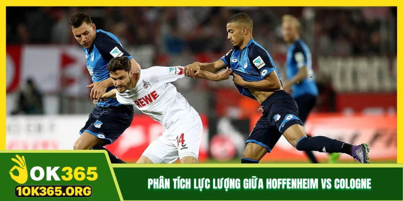 Phân tích lực lượng giữa Hoffenheim vs Cologne