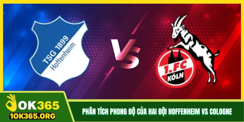 Phân tích phong độ của hai đội Hoffenheim vs Cologne
